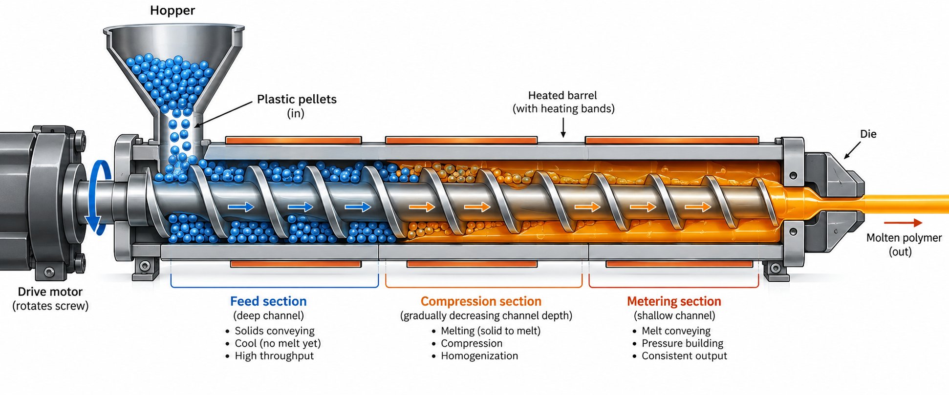 cutaway view of a single screw extruder showing the feed compression and metering zones that transform solid pellets into homogeneous melt