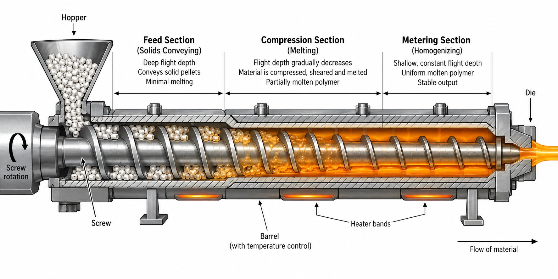 cross section of an extruder screw showing feed compression and metering zones during polymer plasticization